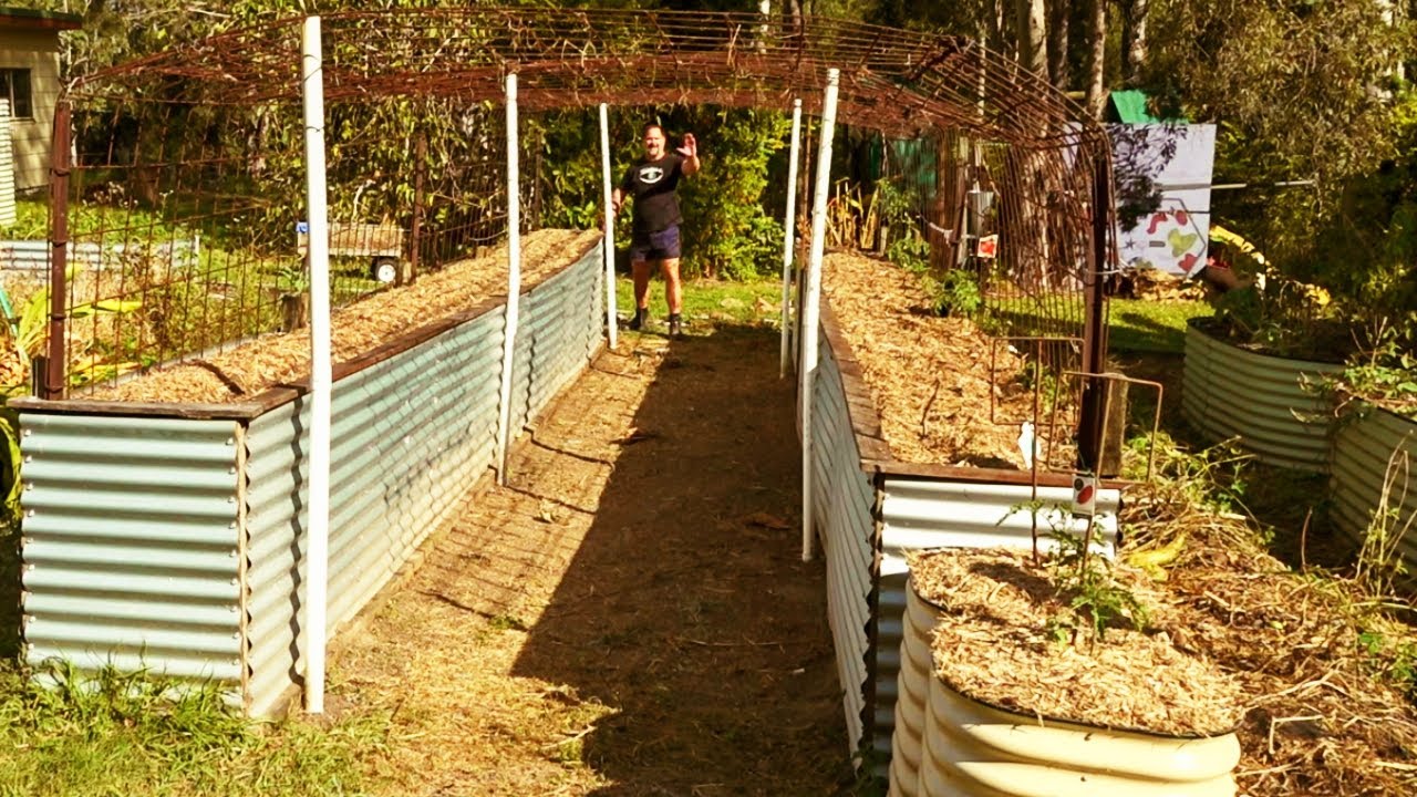 Changing My Raised Bed Tunnel Trellis from Gourds to Peas