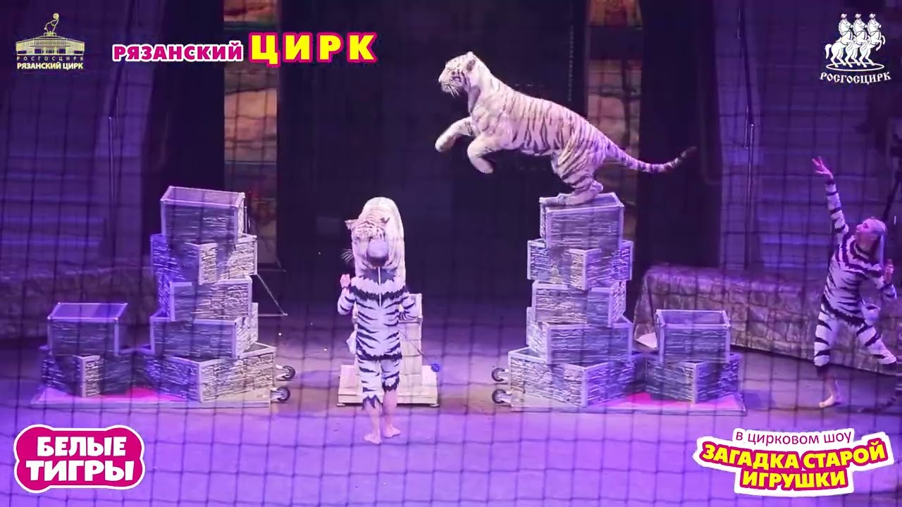 Загадка старой игрушки - Рязань