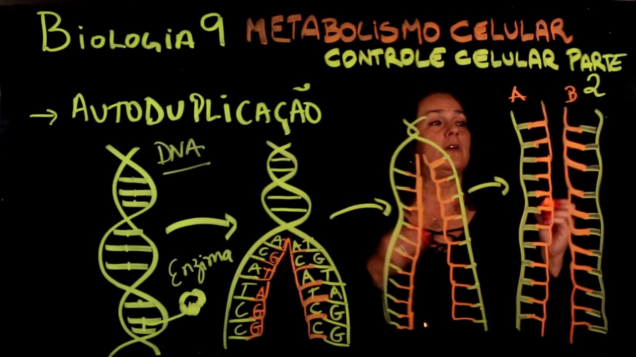 Aula 9 METABOLISMO CELULAR parte 8 Controle Celular Autoduplicação DNA