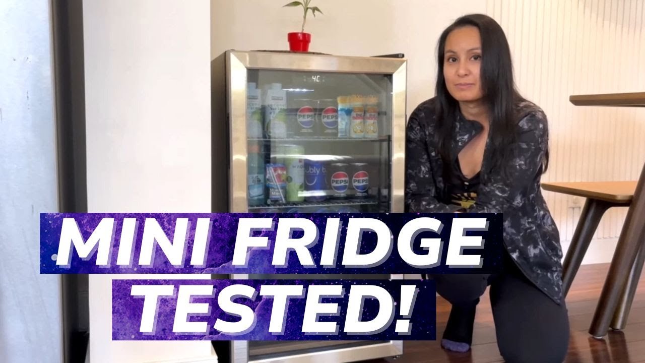 Vissani Mini Fridge Honest Review 🧊