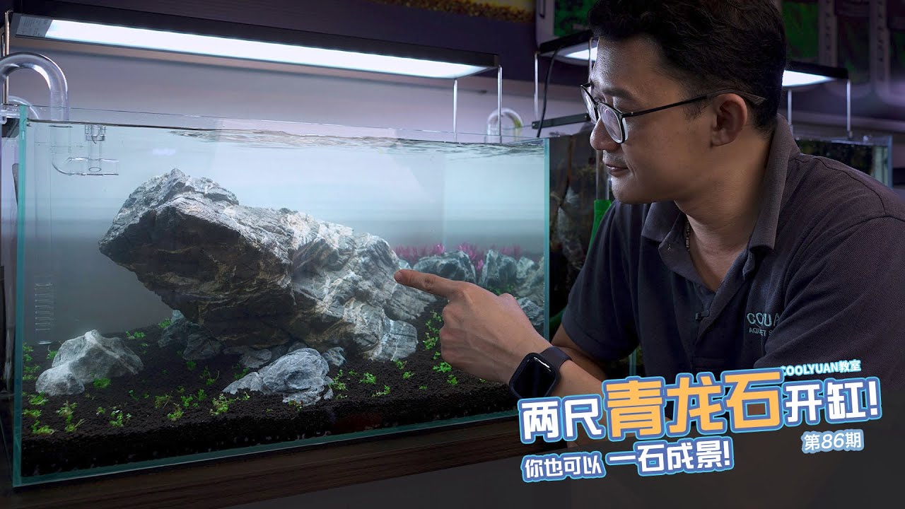 2尺青龙石开缸!你也可以一石成景! EP86