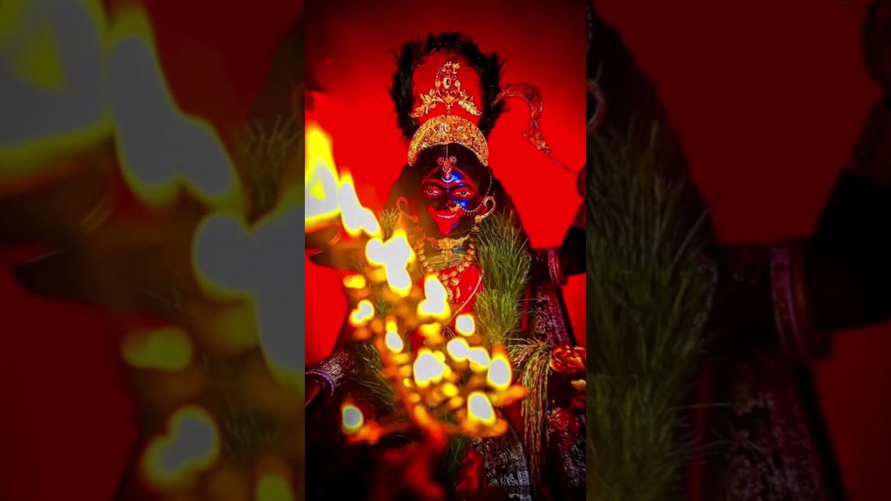 Happiness in world🌺🌸