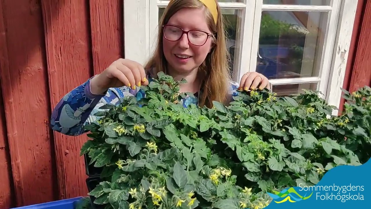 Hemma hos Matilda Forsärla