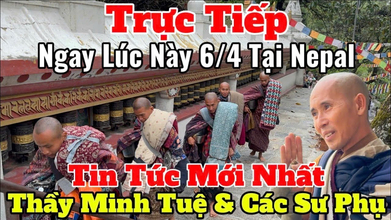 Trực Tiếp Tin Tức Mới Nhất Thầy Minh Tuệ & C&aacute;c Sư Phụ Ngay L&uacute;c N&agrave;y 6/4  #suminhtue #thienchiukho