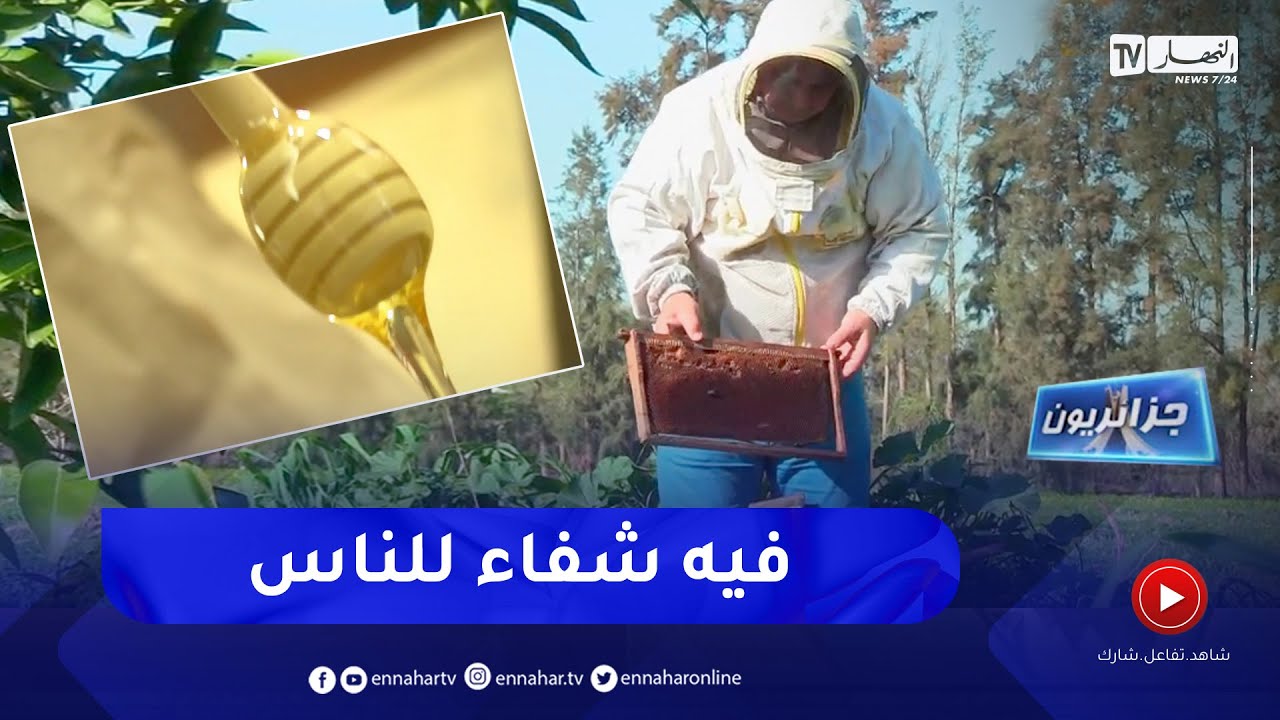 جزائريون :  إنتاج العسل .. حرفة تتوارثها العائلات المنتجة
