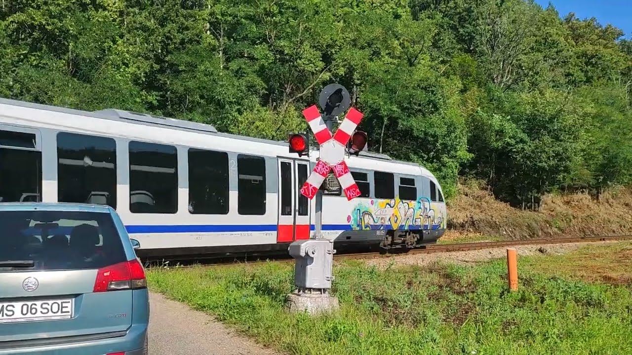 Suncuius Rom&acirc;nia short trip