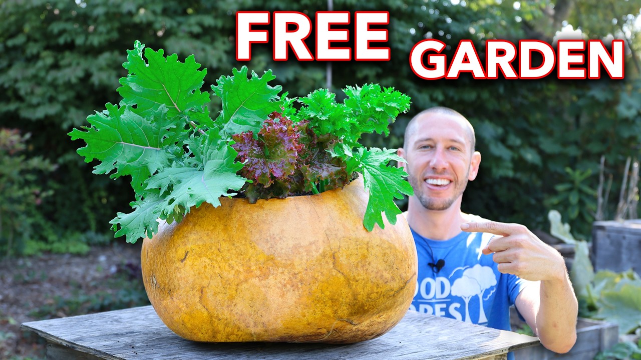 I Grew a FREE Garden in a GOURD!