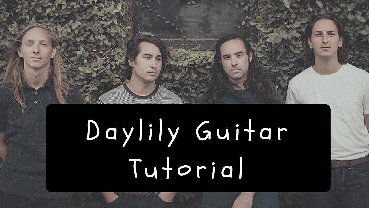 Movements - Daylily (Acoustic Tutorial)