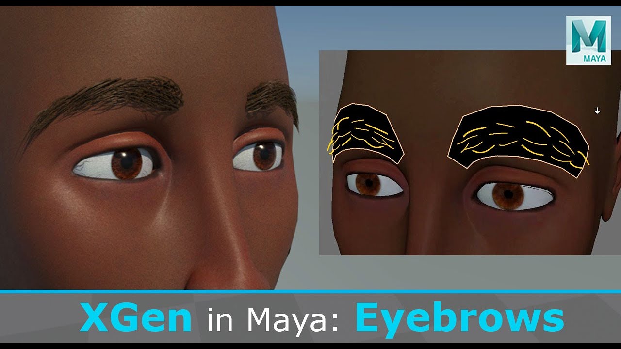Create Eyebrows in Maya using XGen