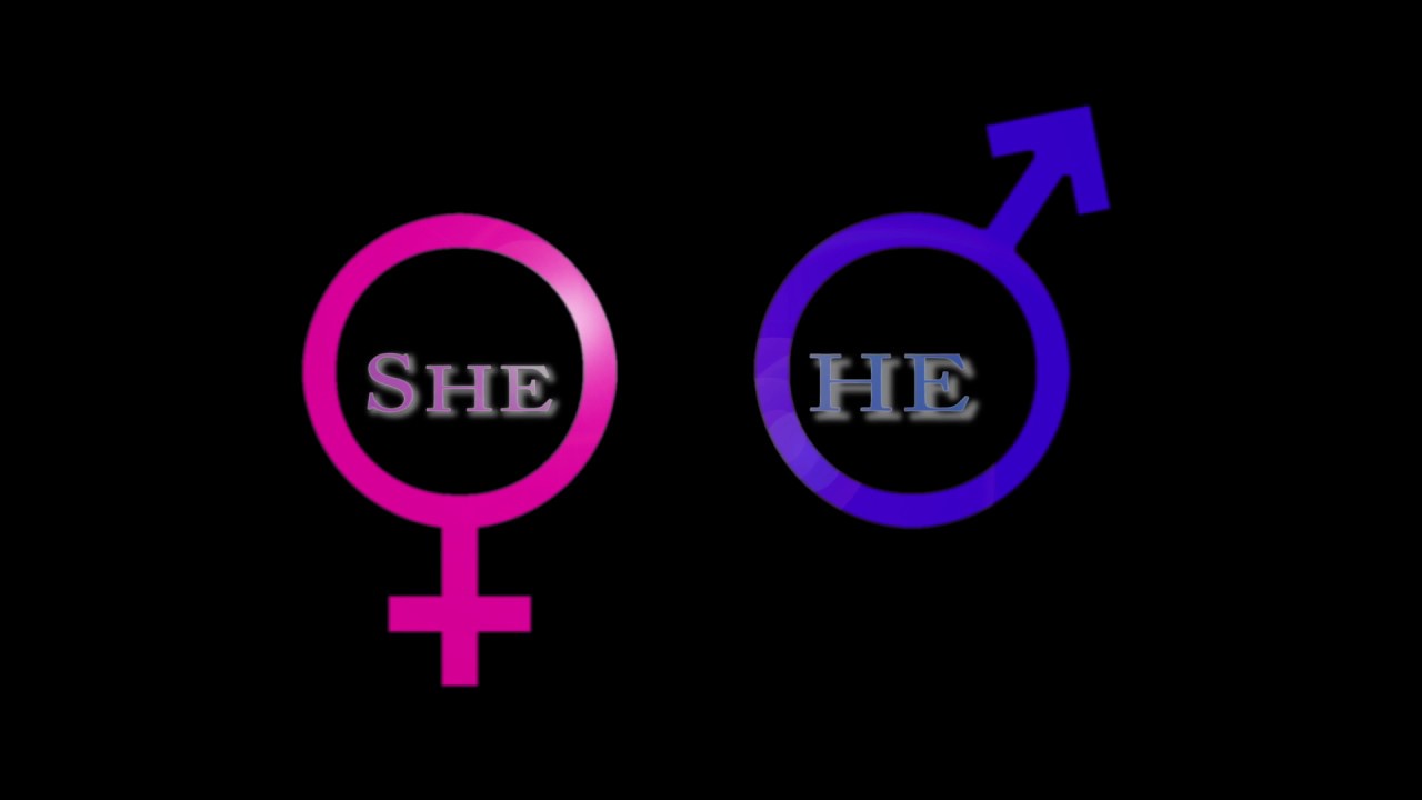She = He | Powerful Short Film on Gender Equality & Role Reversal