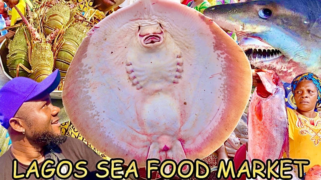 Finding Amazing Sea Food in Lagos | Makoko Fish Market