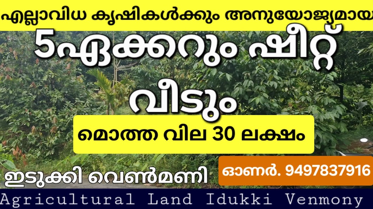 മൊത്ത വില 30 ലക്ഷം. 5ഏക്കറും ഷീറ്റ് വീടും. ഓണർ: സണ്ണി ചേട്ടൻ == 9497837916👇ഡീറ്റെയിൽസ് 👇👇