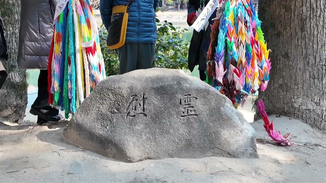 Ume blossoms in Shukkeien (Japanese style garden in Hiroshima city), Feb 21st. 2026