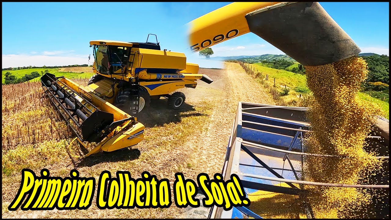 PRIMEIRA COLHEITA DE SOJA DO ANO! SÓ CHEGUEI E JA ESTRAGOU A COLHEITADEIRA NEW HOLLAND TC 5090!