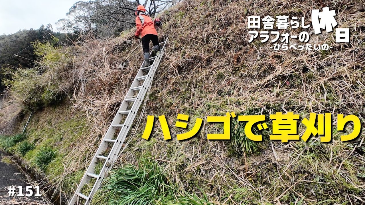 これやるん！？斜面の草刈り｜田舎暮らし｜アラフォー｜vlog｜#151