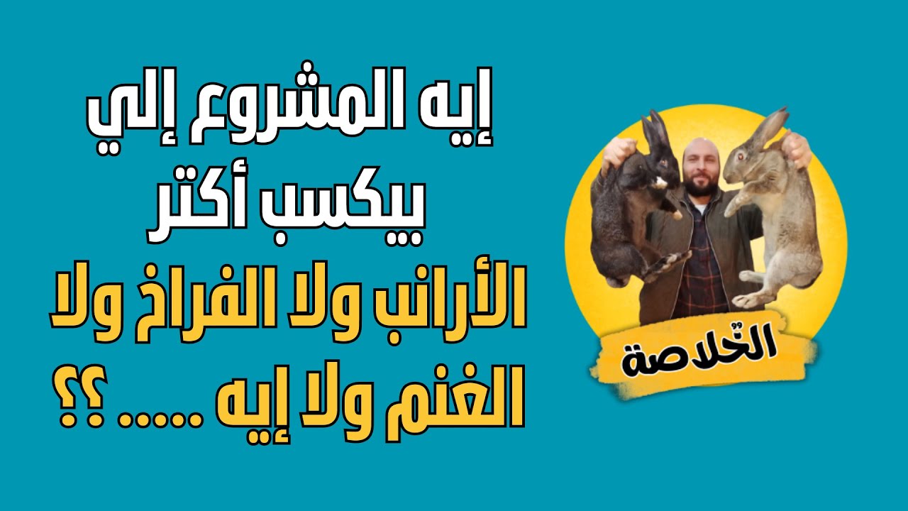 إيه المشروع إلي بيكسب أكترالأرانب ولا الفراخ ولا الغنم ولا إيه ..... ؟؟