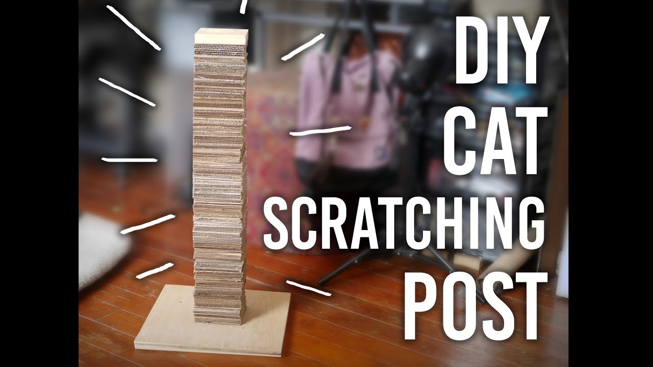 How to Make a Cat Scratching Post : DIY