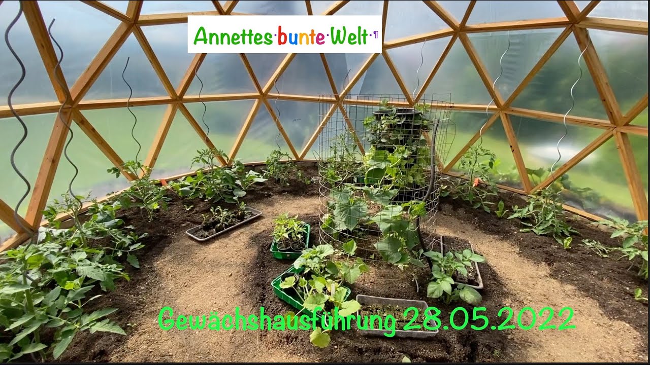 Gewächshausführung Geodome 28 05 2022
