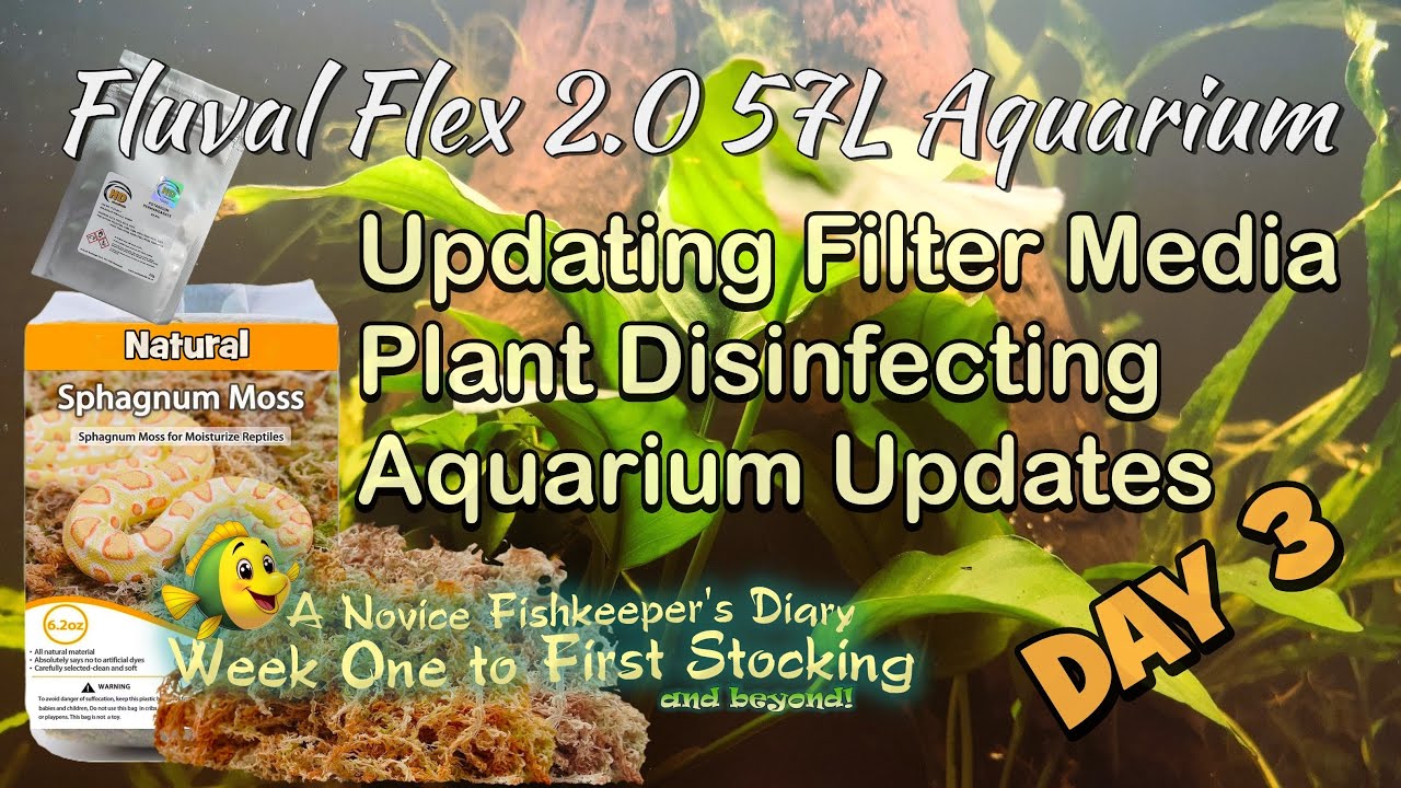 День 3. Обновления по установке Fluval Flex 2 O 57L.