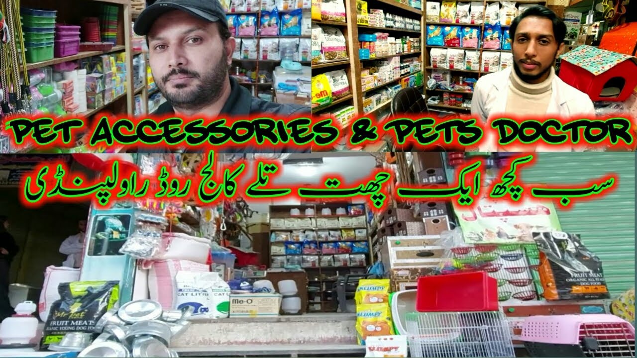 College Road Rawalpindi Pet Accessories 2020 || Pet Doctor Rawalpindi Pet Market || Birds Market
