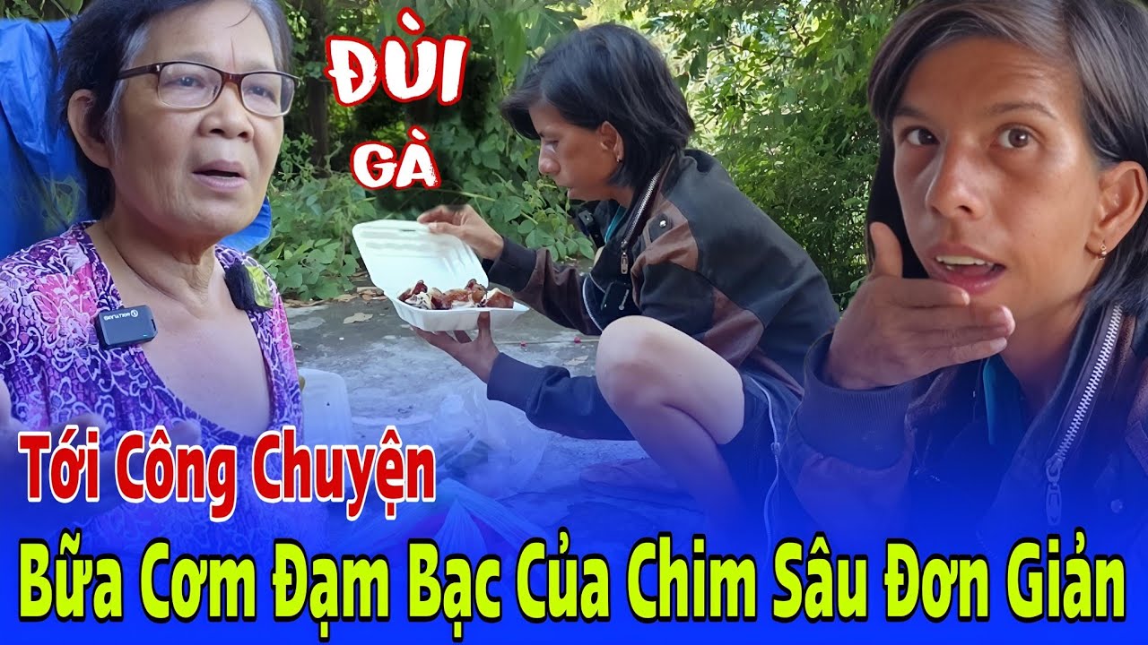 Tới Công Chuyện 🔴 Bữa Cơm Đạm Bạc Của Chim Sâu Quá Giản Đơn | Vinh Tân Hồng