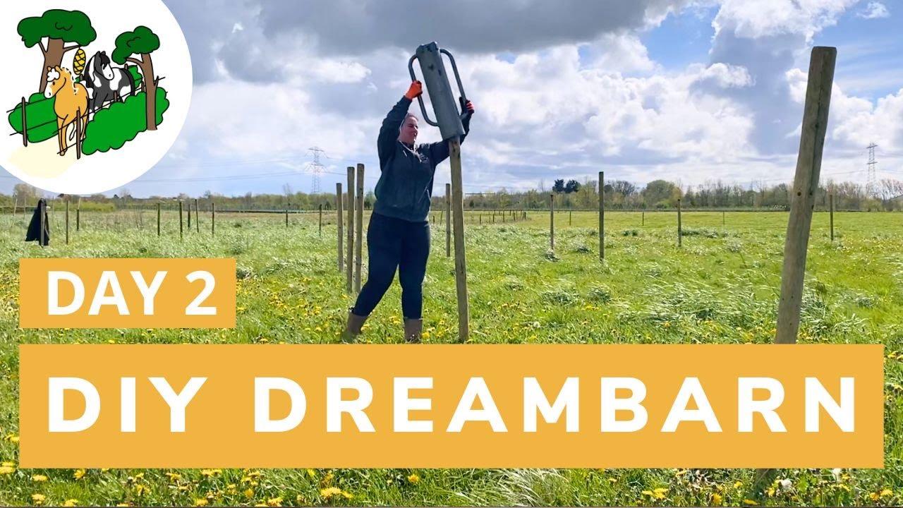 Placing 80 poles | Day 2 | Happy Horsemanship
