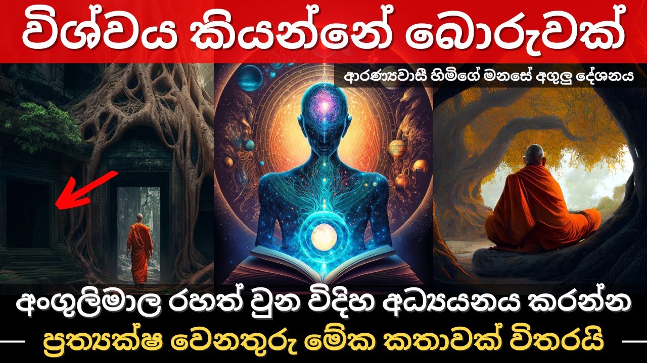 විශ්වය කියන්නේ බොරුවක් | අංගුලිමාල රහත් වුන විදිහ අධ්‍යයනය කරන්න | ආරණ්‍යවාසීහිමිගේ මනසේ අගුලු දේශනය