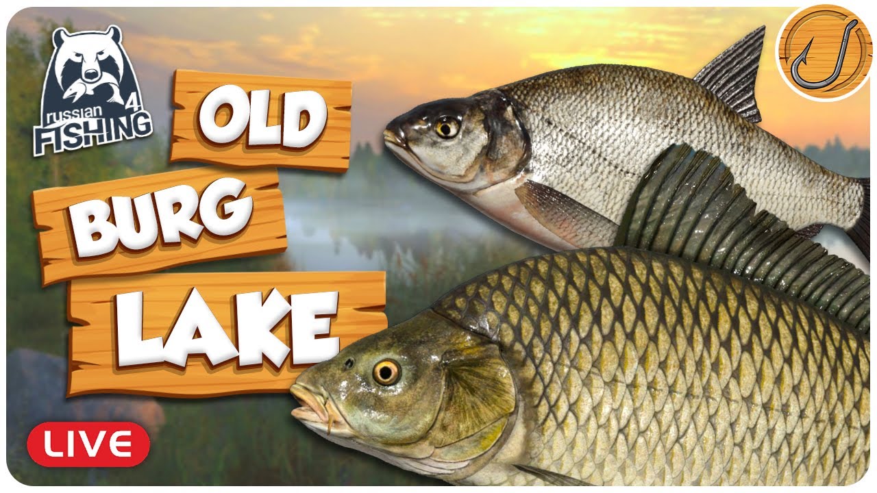 We're Headed to Old Burg Lake! [LIVE] | Russian Fishing 4 (RF4)