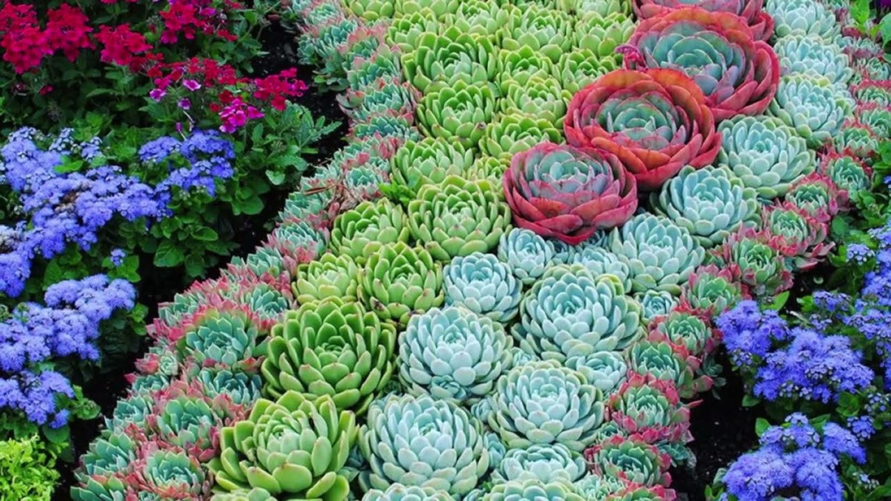 Amazing Succulent Landscape Ideas | Your Fountains | Leaf and Designs #shorts #succulentarrangement