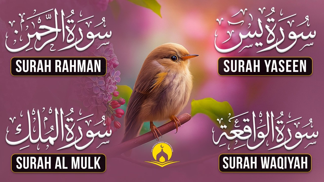 Very Nice Voice Surah Yaseen | Surah Rahman | Surah Waqiah | Surah Mulk l Reciter Ashraf Hussain 088
