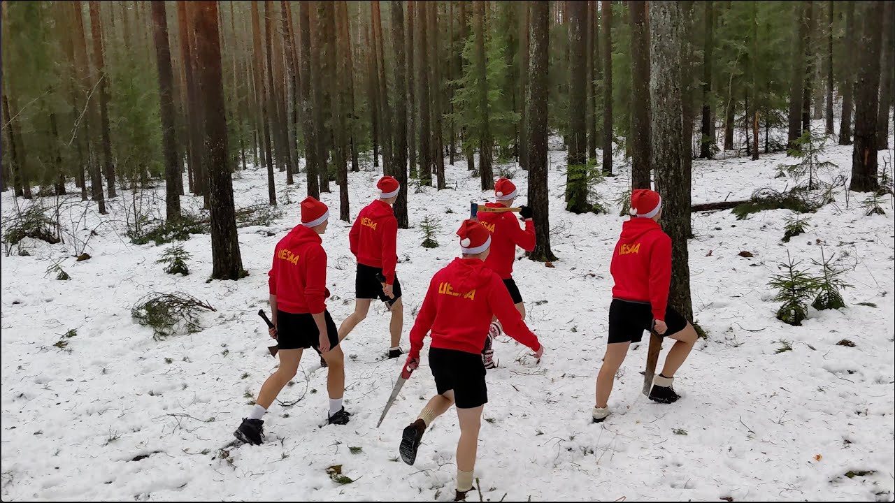 Kā Liesmas puiši eglīti lūkojās