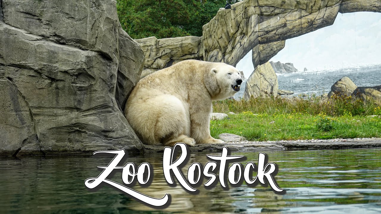 Zoo Rostock