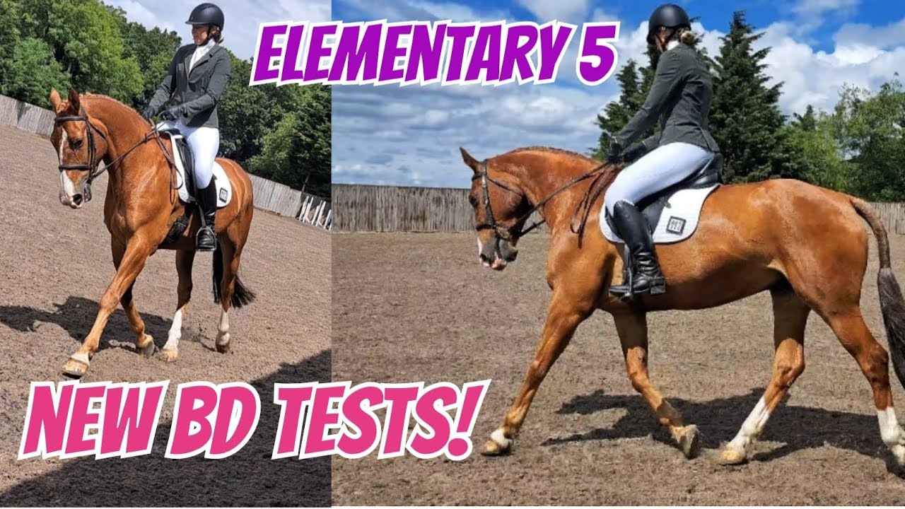 Elementary 5 - New British Dressage Tests