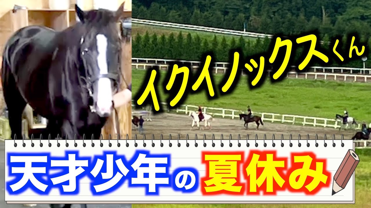 現役最強馬・イクイノックスの「今」を撮影！　ノーザンファーム天栄で過ごす「夏休み」に密着しました《東スポ競馬》