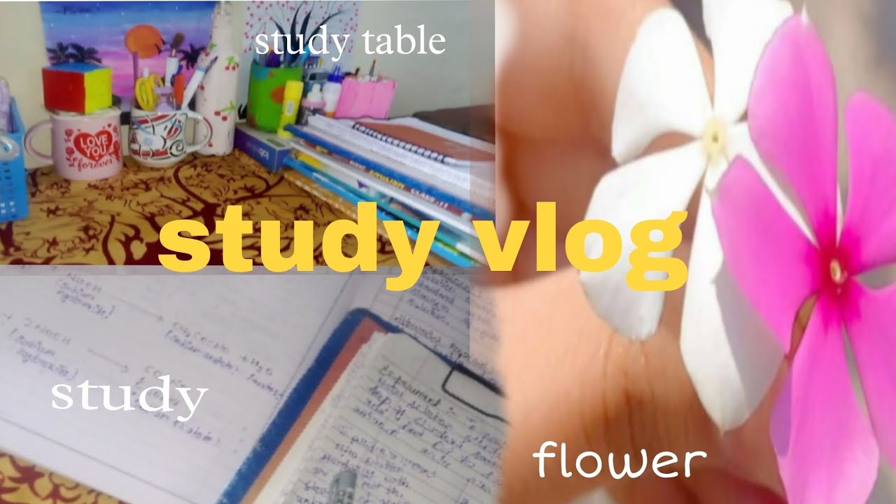 A calm & productive study vlog 📚📖☕ #ministudyvlog #study #productivity #study #shortsfeed 