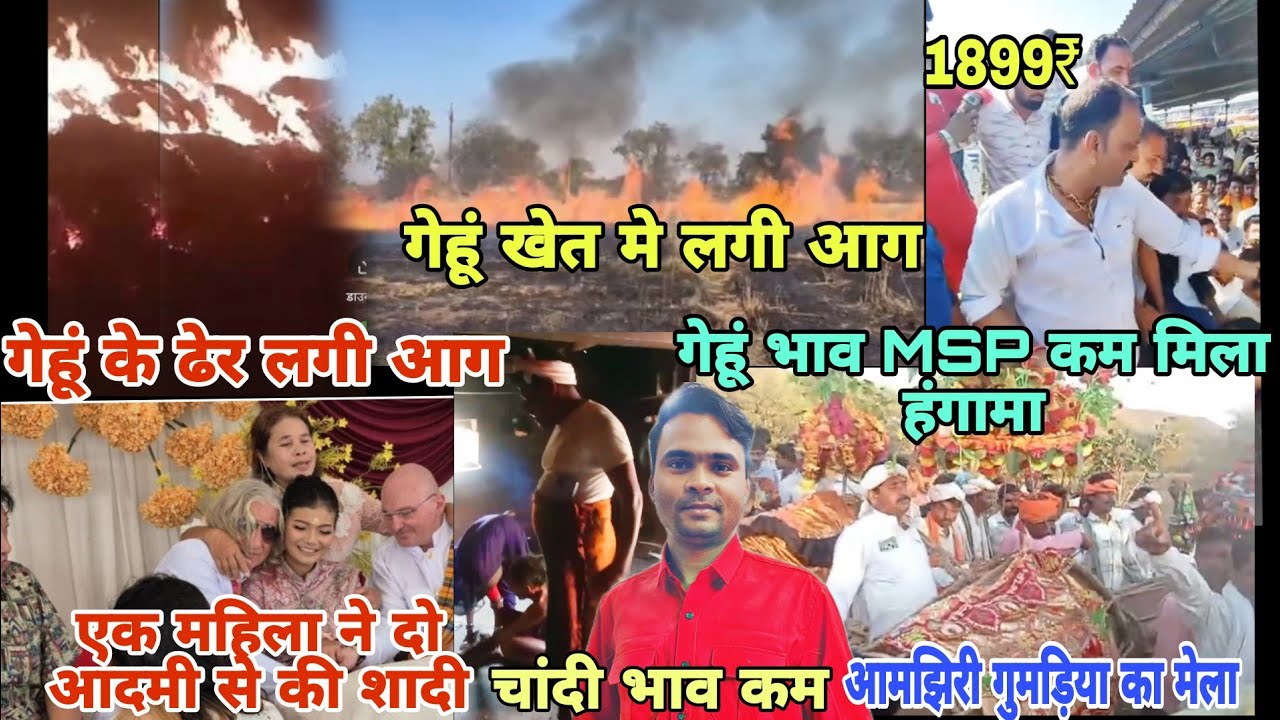 आमझूरी गुमड़िया मेला / मंडी मे गेहूं 1899mspसे भी कम हंगामा / सोना चांदी भाव कम/ गेहूं खेत मे लगी आग 