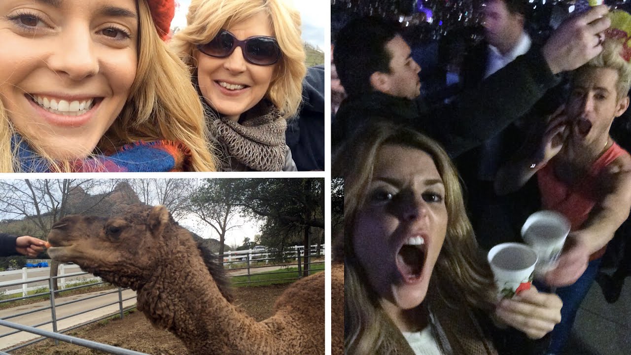 THE LAST DAYS OF 2014 // Grace Helbig