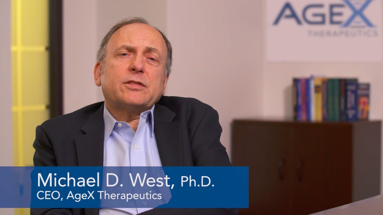 What is telomerase and what role does it play in aging?