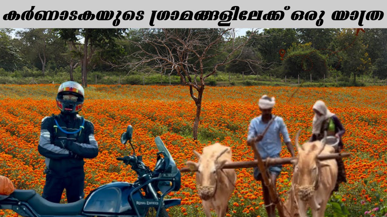 മുത്തങ്ങ വനത്തിലൂടെയുള്ള ബൈക്ക് യാത്ര |  Kerala to Karnataka Ride | Travelogues of Vaisakh 