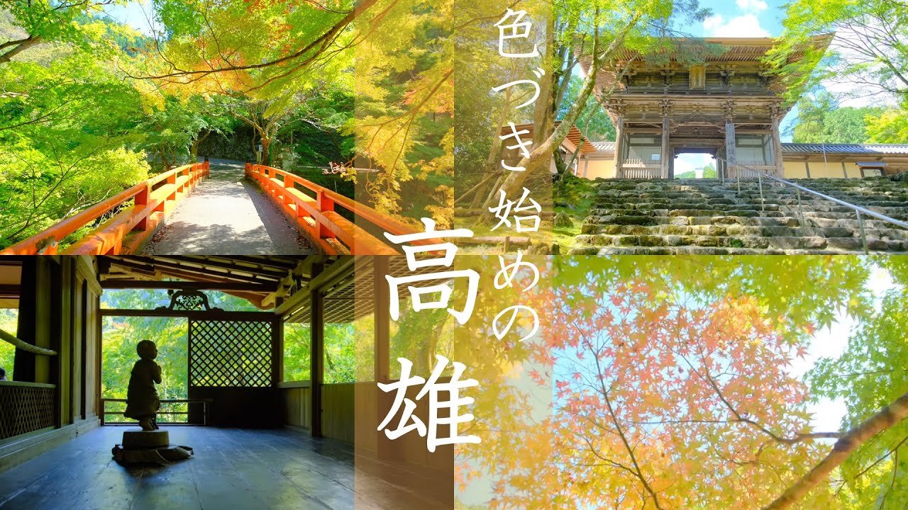 【京都観光】3時間でめぐるもうすぐ紅葉の高雄｜神護寺｜西明寺｜高山寺｜そうだ京都行こう|2022|秋(Kyoto,JAPAN)
