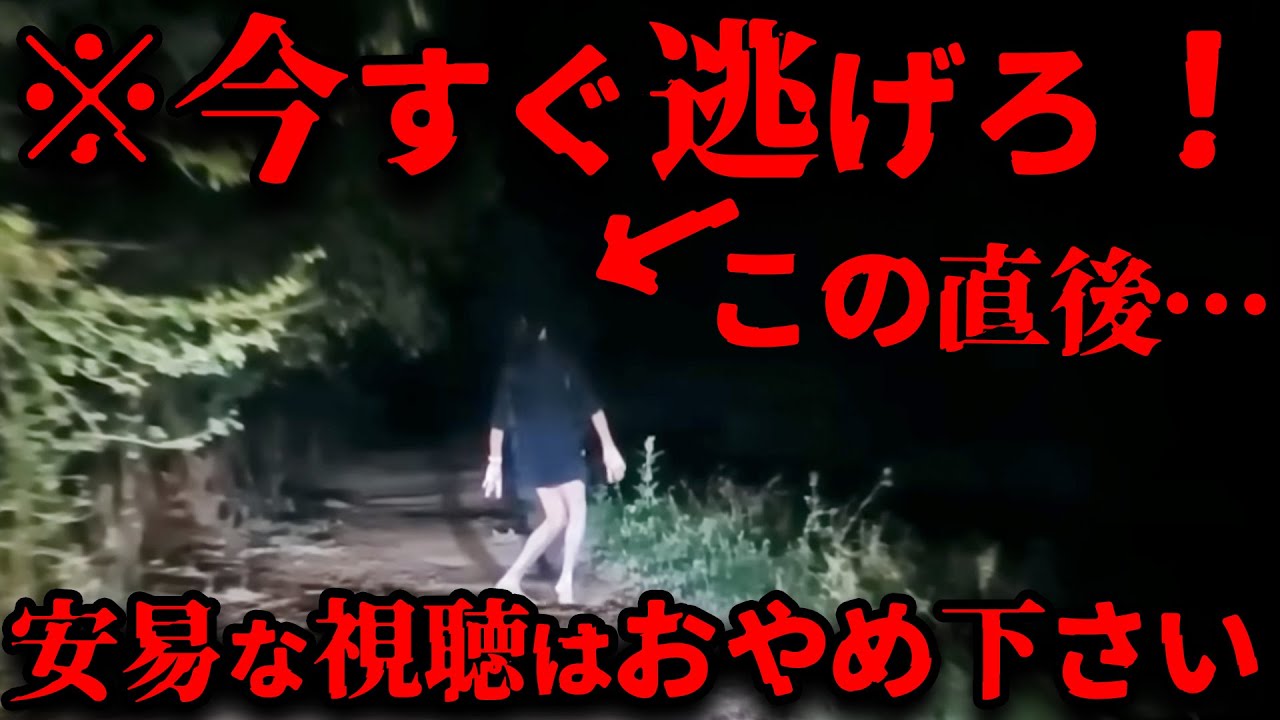 【閲覧超注意】「※見たら必ず後悔する心霊映像」あなたにはドライブレコーダーに撮影された怨霊が見えますか？【ゆっくり解説】