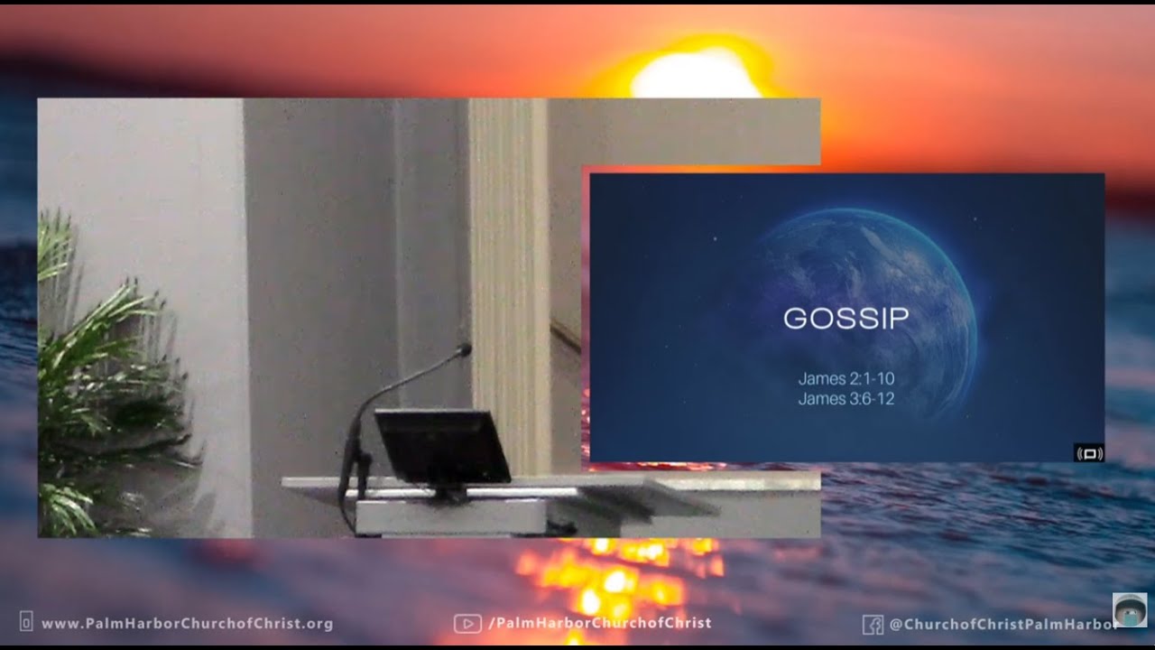 Gossip. 01/04/26pm