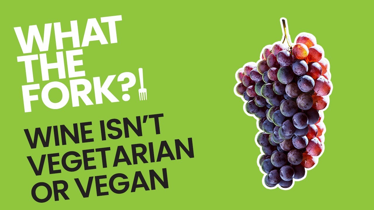 Why Wine Isn't Vegetarian Or Vegan. WTF?!