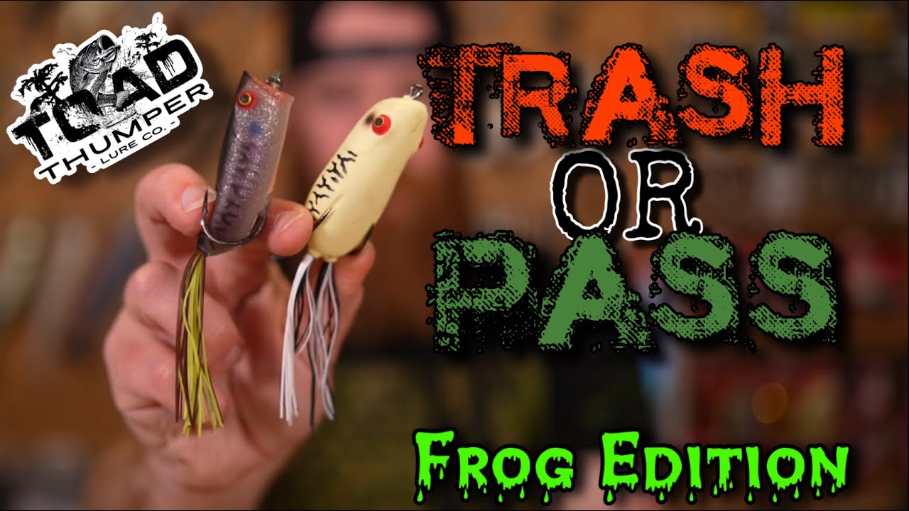 NEW FROGS from Toad Thumper || TRASH or Pass