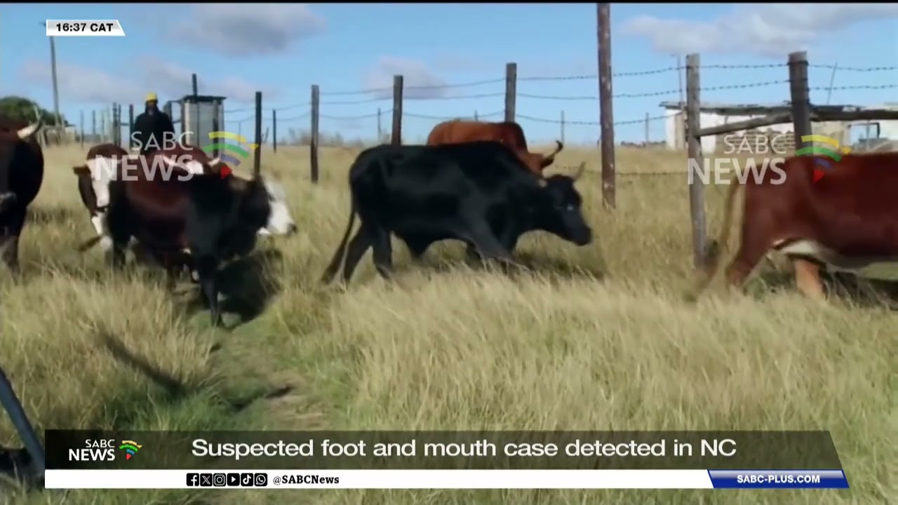 Red Meat Producers' Organisation concerned about FMD spread