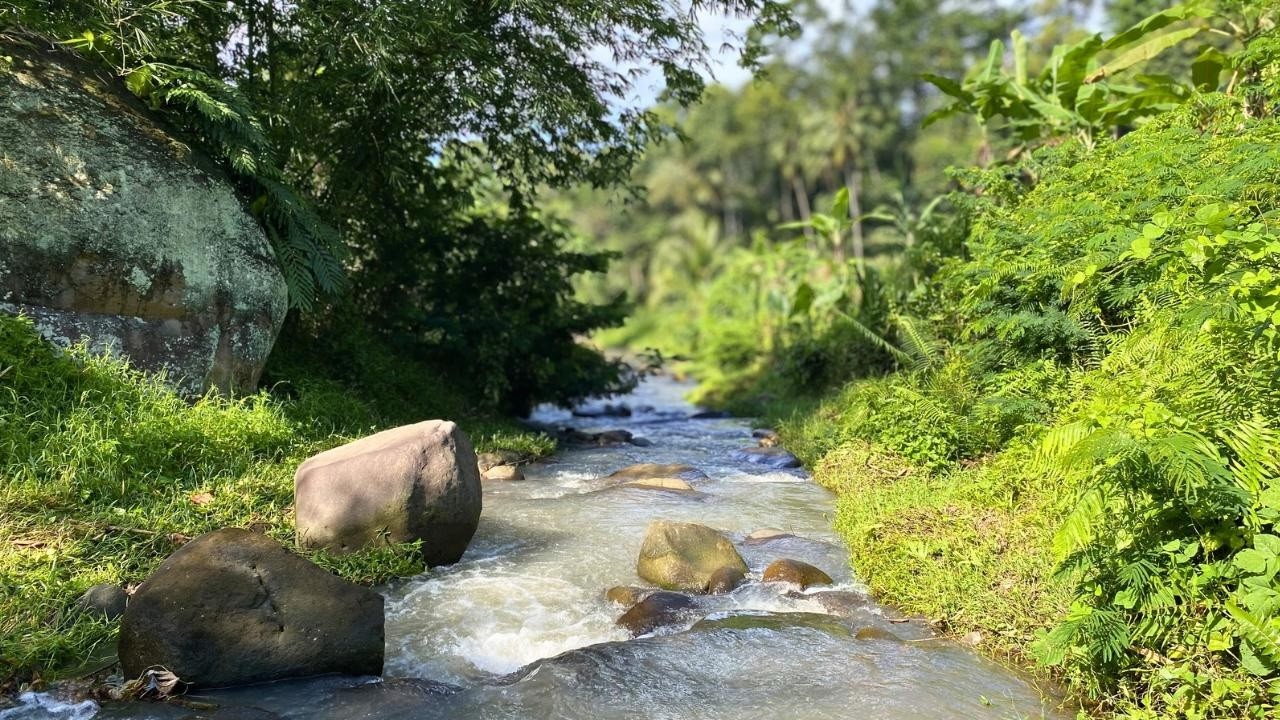 🌿 Tropical Forest River Piano | Healing Nature Sounds for Relaxation & Deep Focus