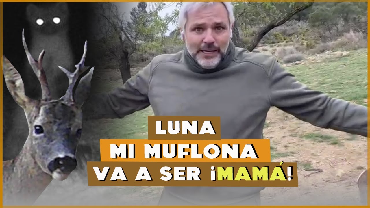 Más vida en La Finca. Buitres, ciervos, cabras... ¡Luna va a ser mamá! | #SantiCañizares