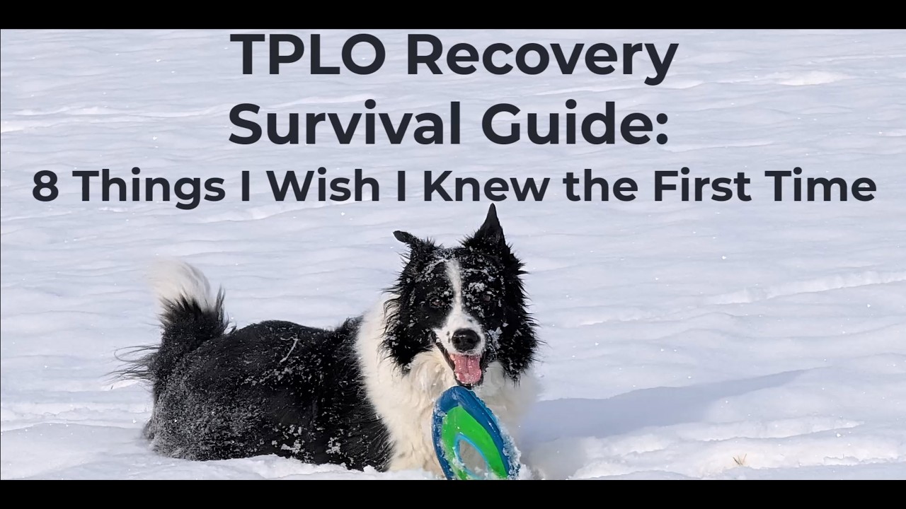 TPLO Recovery Survival Guide: 8 Things I Wish I Knew