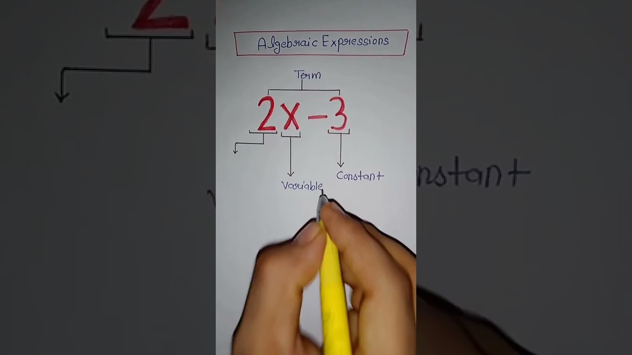 Algebraic Expression | #short
