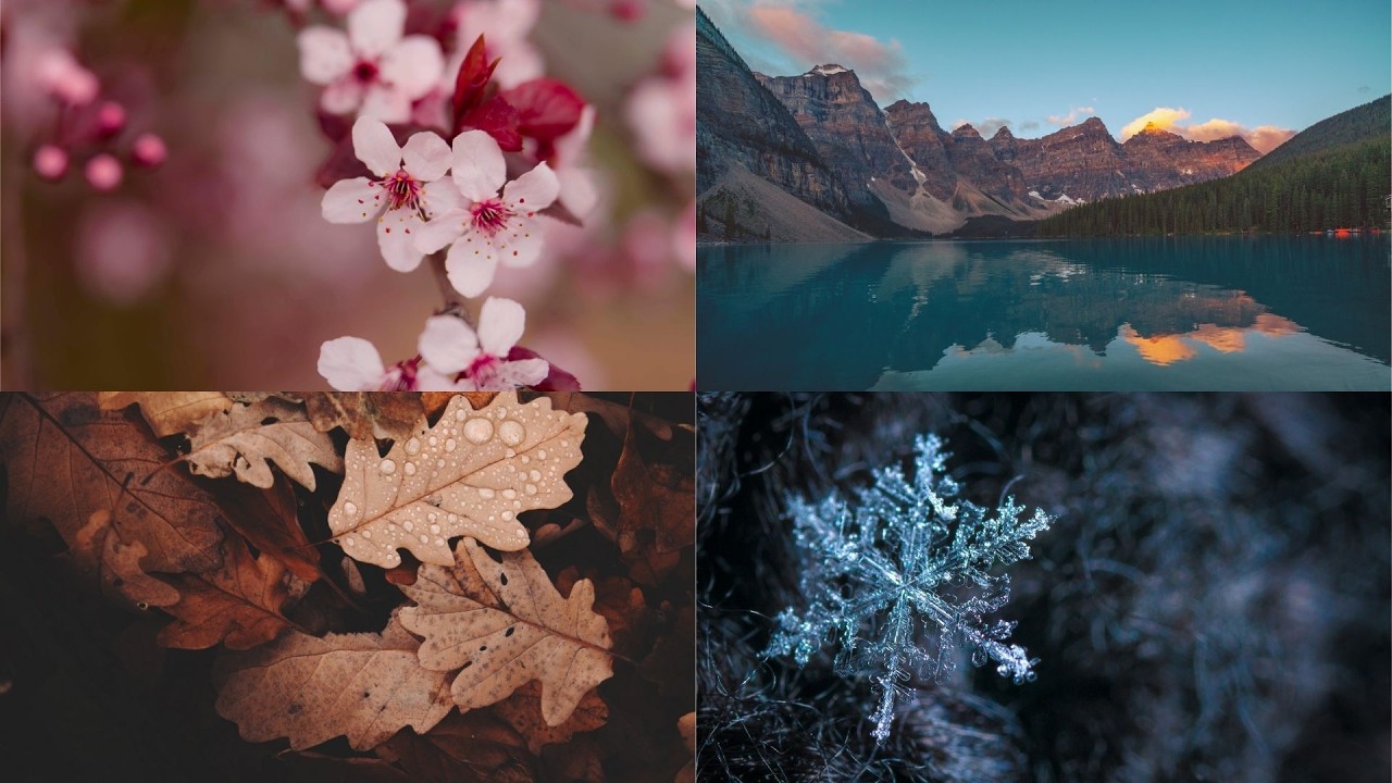 a Four Seasons Relaxing Piano Playlist